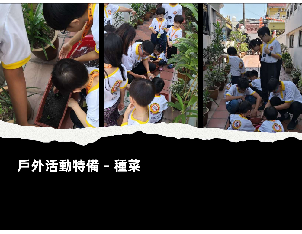 Past Editions Outdoor Special: Growing Vegetablesactivity photo